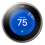 Nest News Image