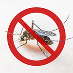 Mosquito Safety