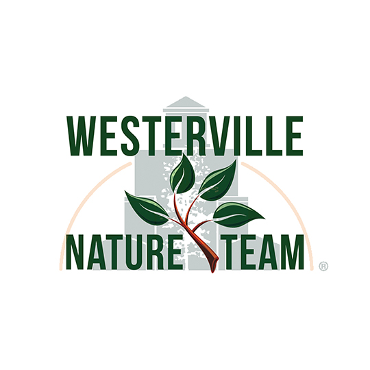 Nature Team Icon-lg2