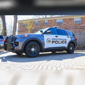 PD cruiser news image