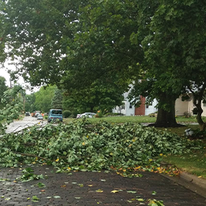 storm damage news